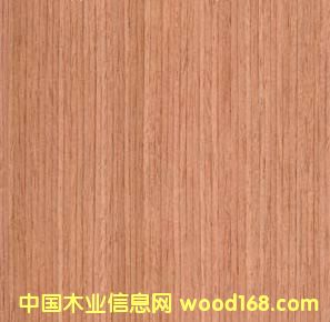 �t��ľƤ��Ԕ��(x��)��B