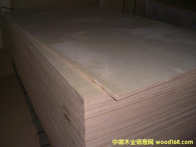 ȫ��ľ�z�ϰ��Ԕ����B