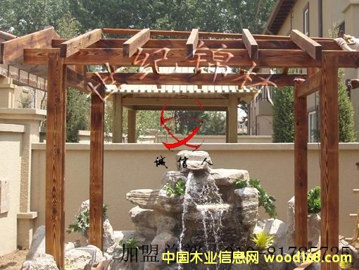 ̼��ľ����