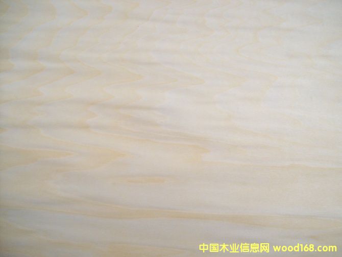 �ľ��Ƥ�������Ԕ����B