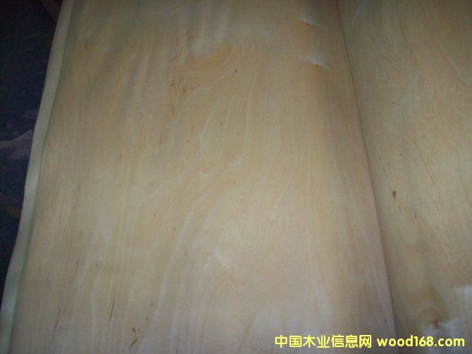 �ט���ƤC��Ԕ����B