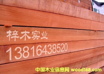 �tѩ��(�o��(ji��)�̣�