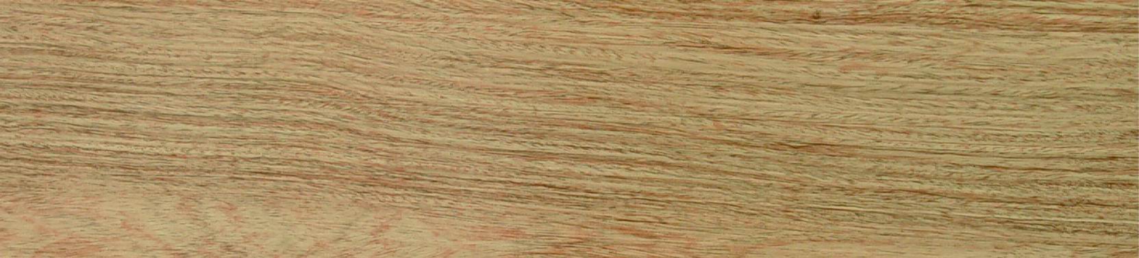 ��(qi��ng)��(������ɫ)