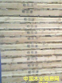 1.5�бP��Ԕ��(x��)��B