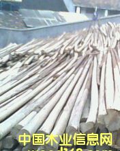 ɼľ��Ԕ����B