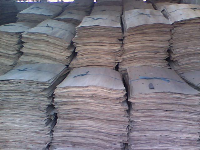 ��ľ�ΰ��Ԕ��(x��)��B