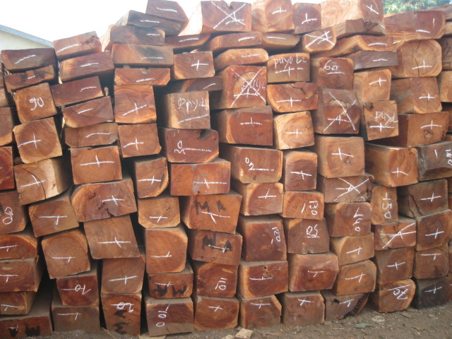 ����ľ��2��Ԕ��(x��)��B