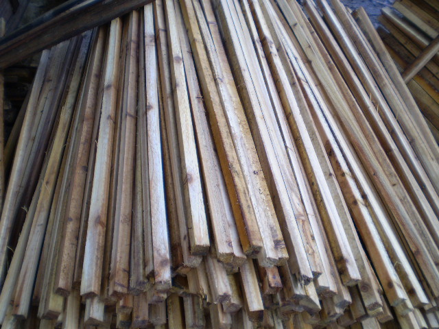 ɼľ�l��Ԕ����B