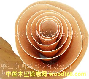 ��ľо���Ԕ��(x��)��B