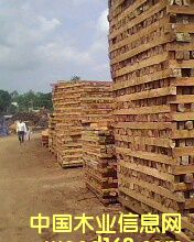 ��ľ�������l��Ԕ��(x��)��B