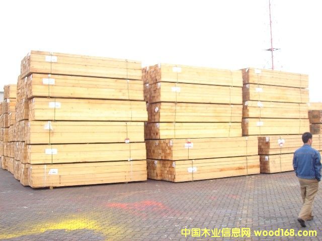 �Fɼľ��Ԕ��(x��)��B