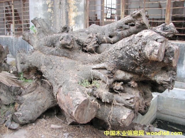 �u��ľ���Ϙ�(sh��)����Ԕ��(x��)��B