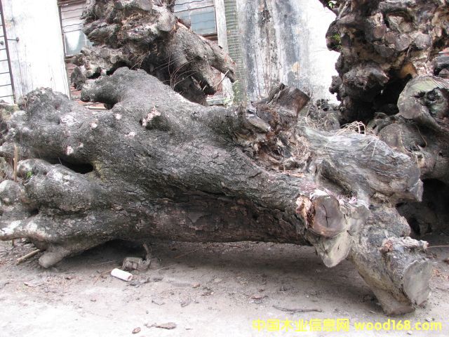 �u��ľ���Ϙ�(sh��)����Ԕ��(x��)��B