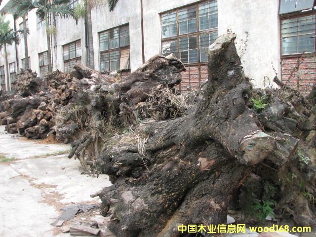 �u��ľ��(sh��)����Ԕ��(x��)��B