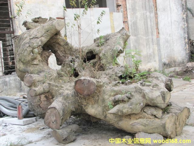 �����Ϙ�(sh��)���ψ�(ch��ng)��Ԕ��(x��)��B