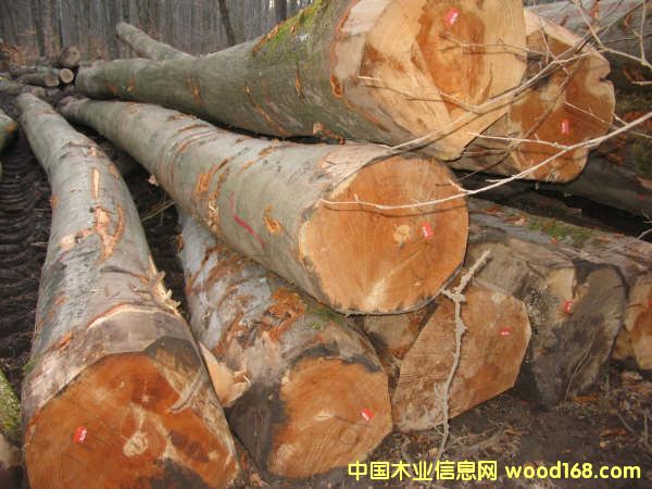 ԭľ��Ԕ��(x��)��B