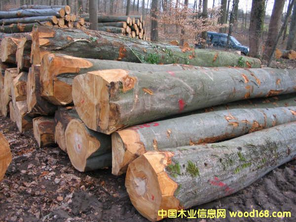 ԭľ��Ԕ��(x��)��B