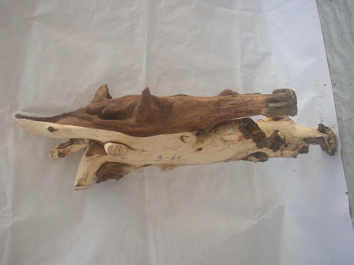 �����S����09-6̖(h��o)