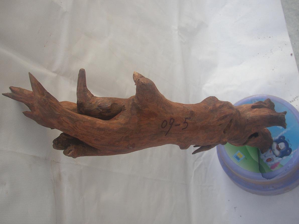 �����S����09-5̖(h��o)