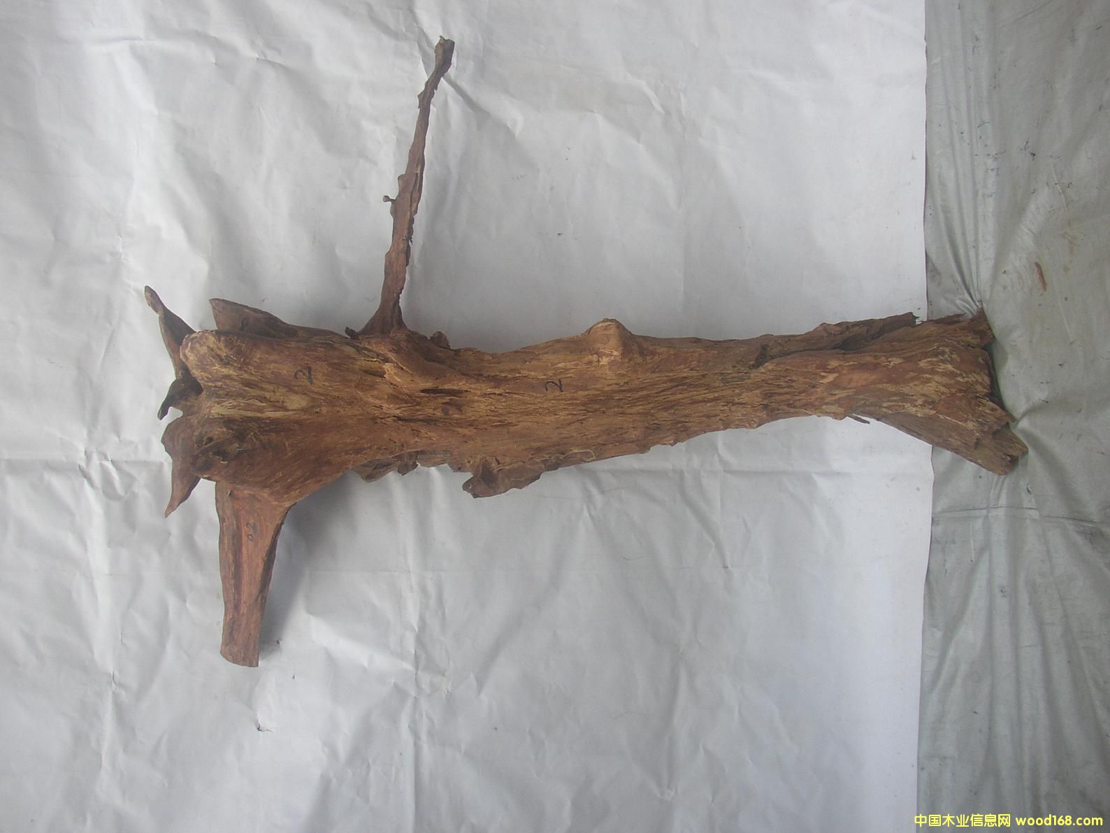 �����S����02#