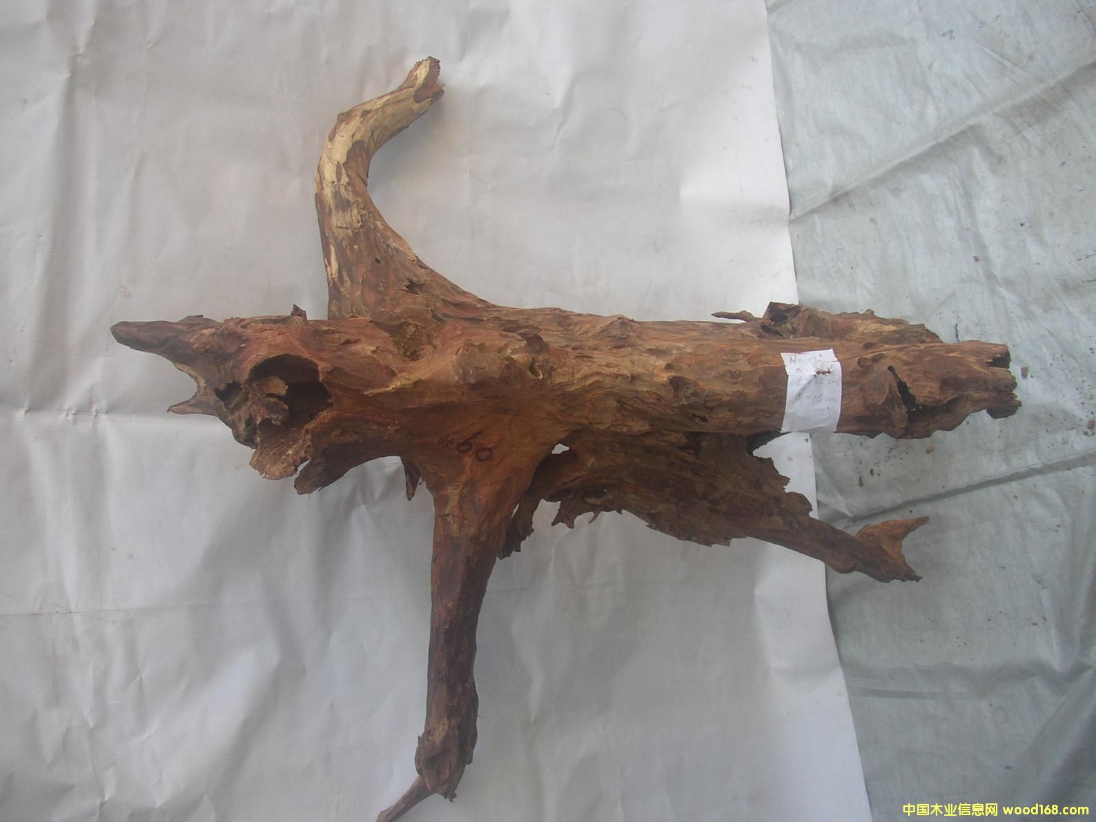 �����S����09#