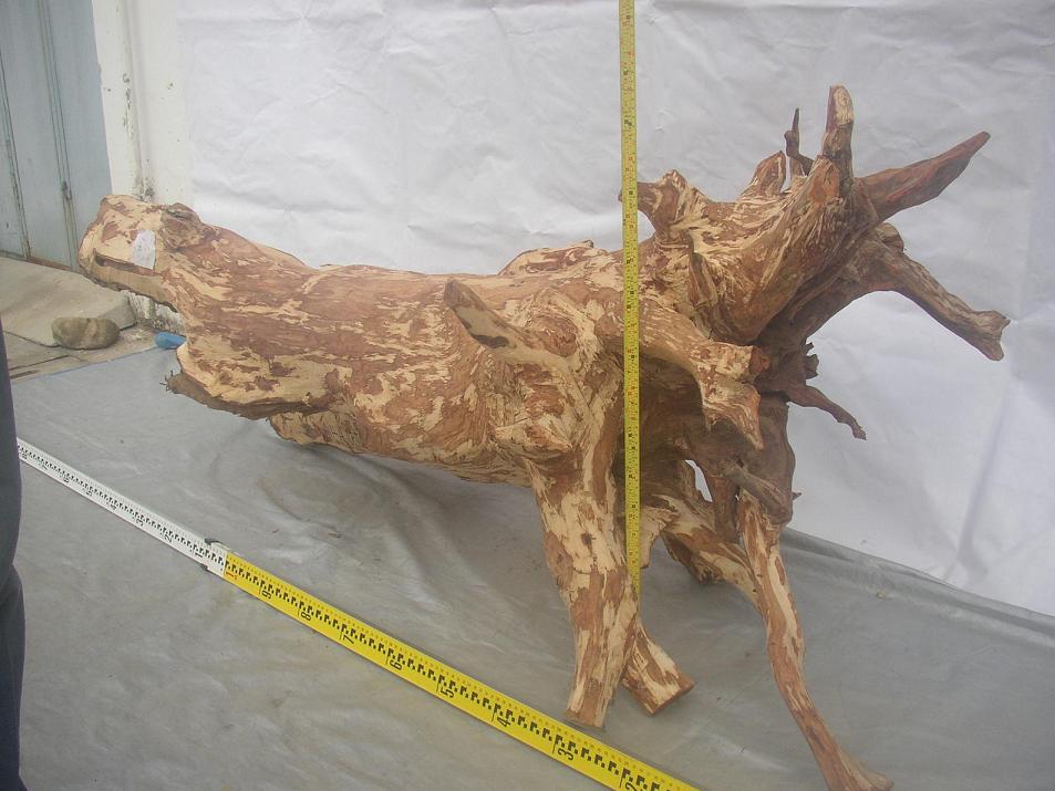 �����S����