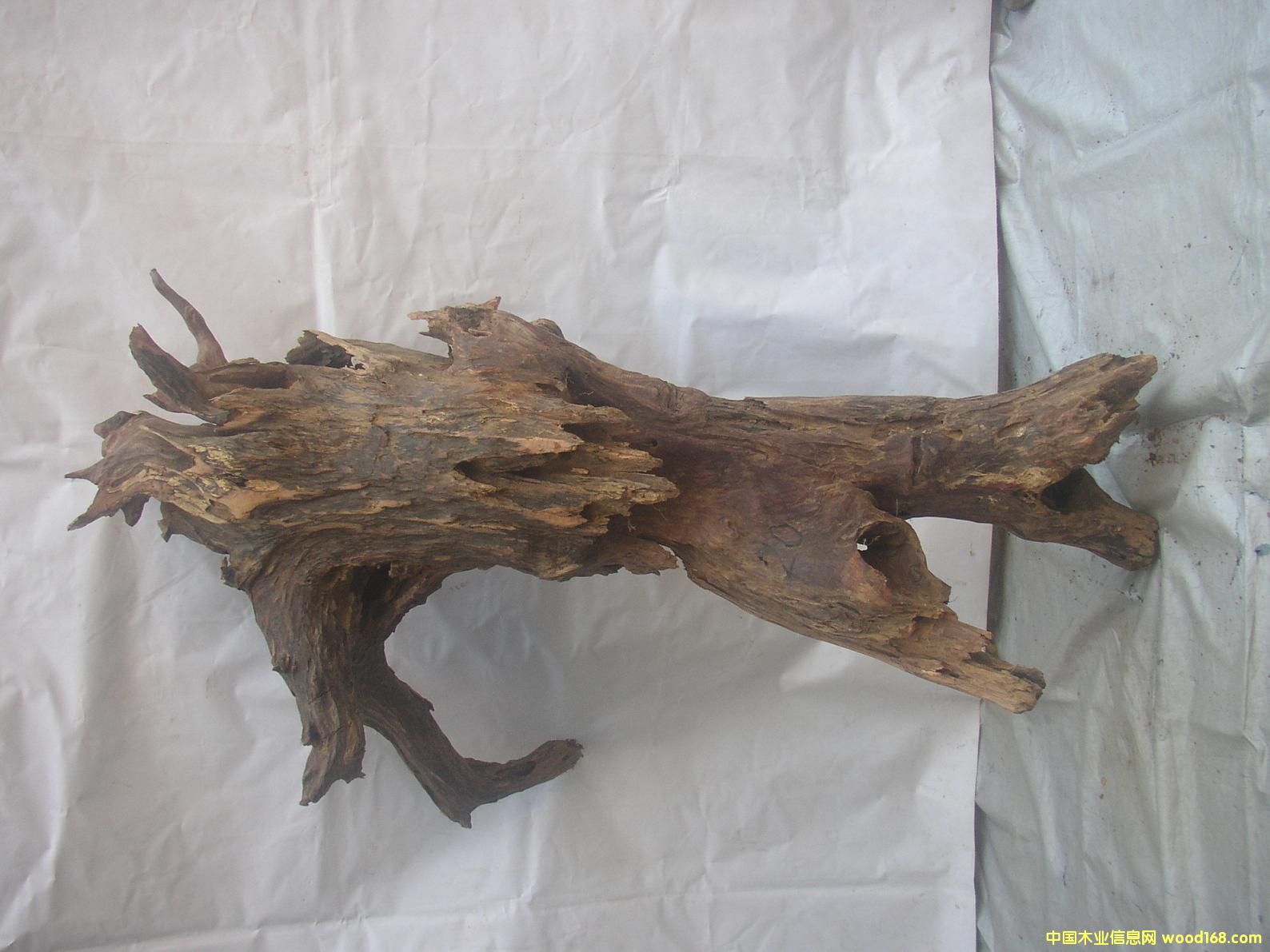 �����S����20#