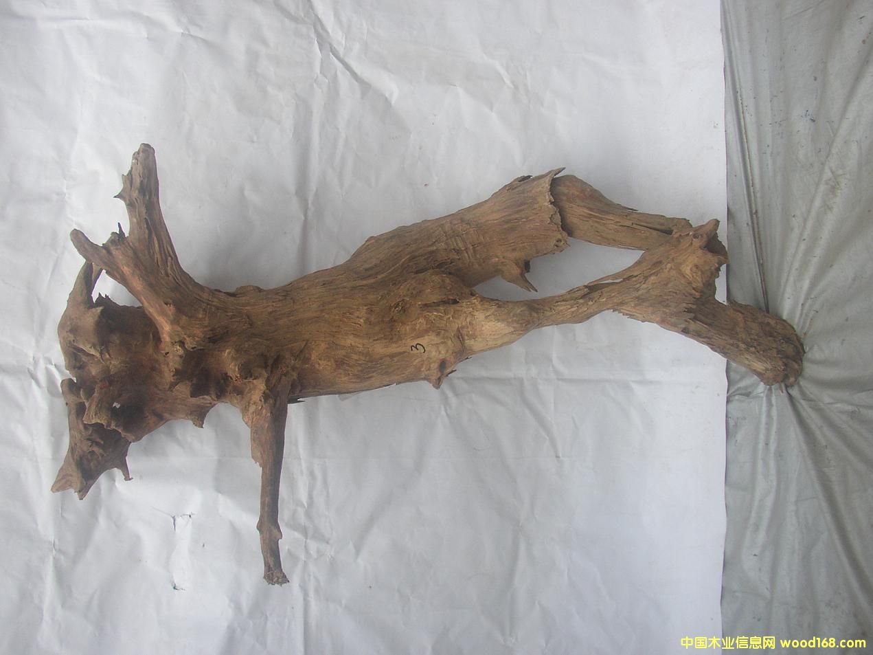 �����S����03#