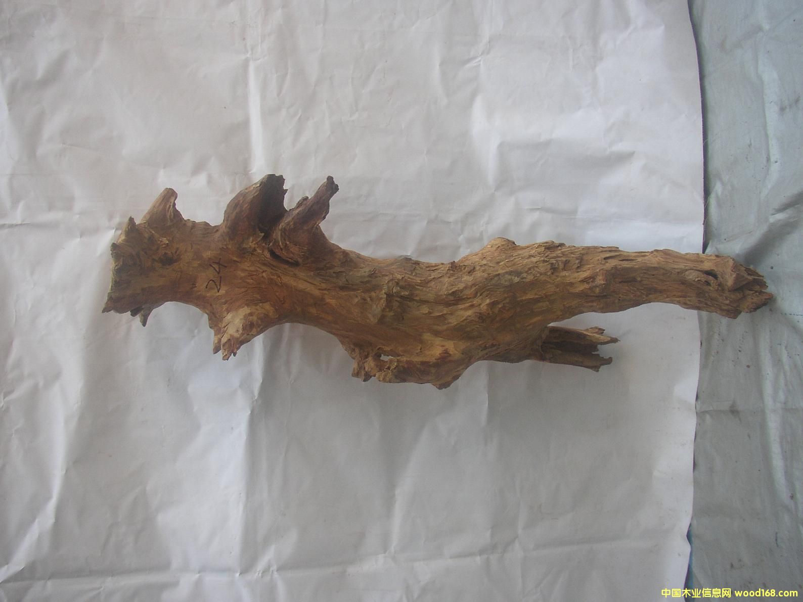 �����S����24#