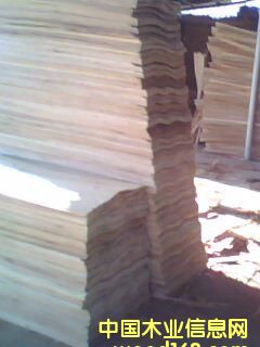 ���һ���ΰ��Ԕ��(x��)��B