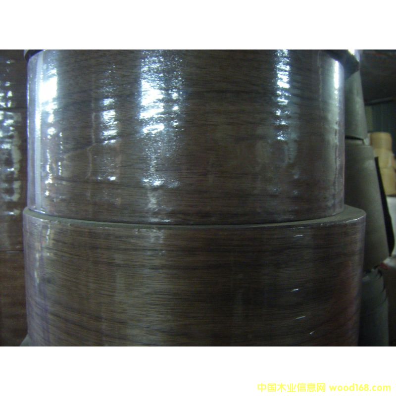 ָ��ľƤ��Ԕ��(x��)��B