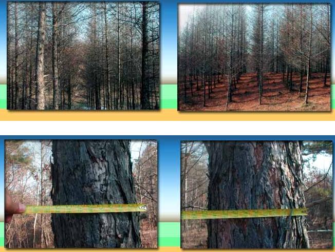 �c���鿴���~�ɻ���ľ�Ŵ�DƬ