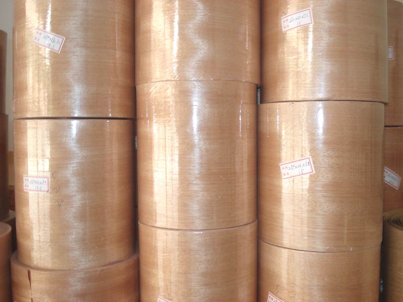 �t����ľƤ��Ԕ��(x��)��B