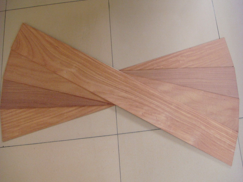 �t̴��ذ�ΰ�