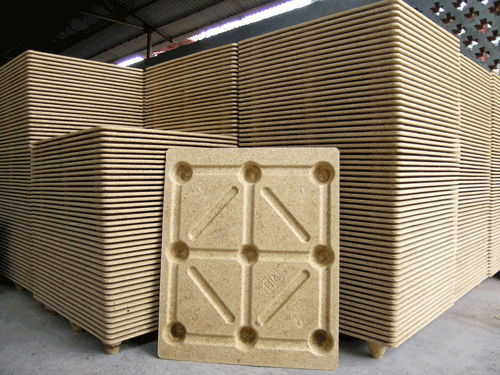 ģ�����I(y��)�бP��Ԕ��(x��)��B