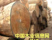 �͵�(Bilinga)��Ԕ��(x��)��B