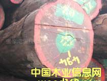 ��W�S��Niove��Ԕ��(x��)��B