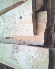 �c(di��n)���鿴��ľ�����䡷��ķŴ�DƬ