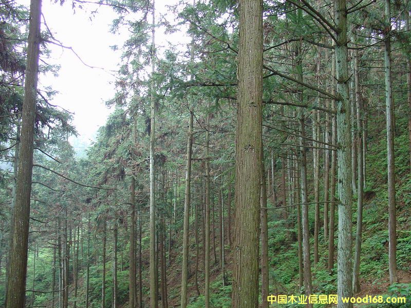 ɼľԭľ��Ԕ��(x��)��B