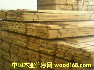 ľ���ǵ�Ԕ����B