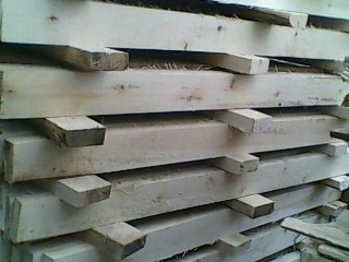 [��] ��ľ�l��ľ���ľ��ľ��