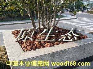 �ɘ�Ƥ���w��