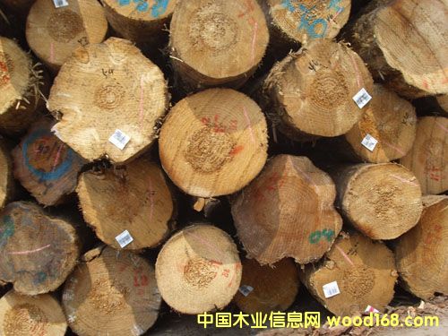 �����mݗ����