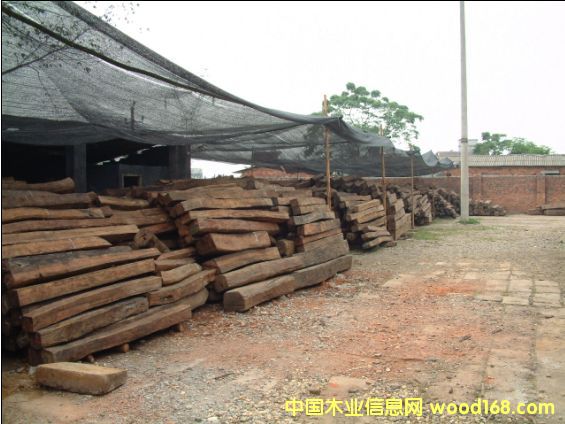 ����t��֦��Ԕ��(x��)��B