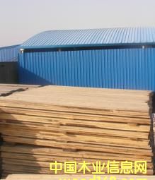 ���ɰ�ĵ�Ԕ����B