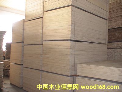 ��ꖼ��\ľ�I(y��)��Ԕ����B