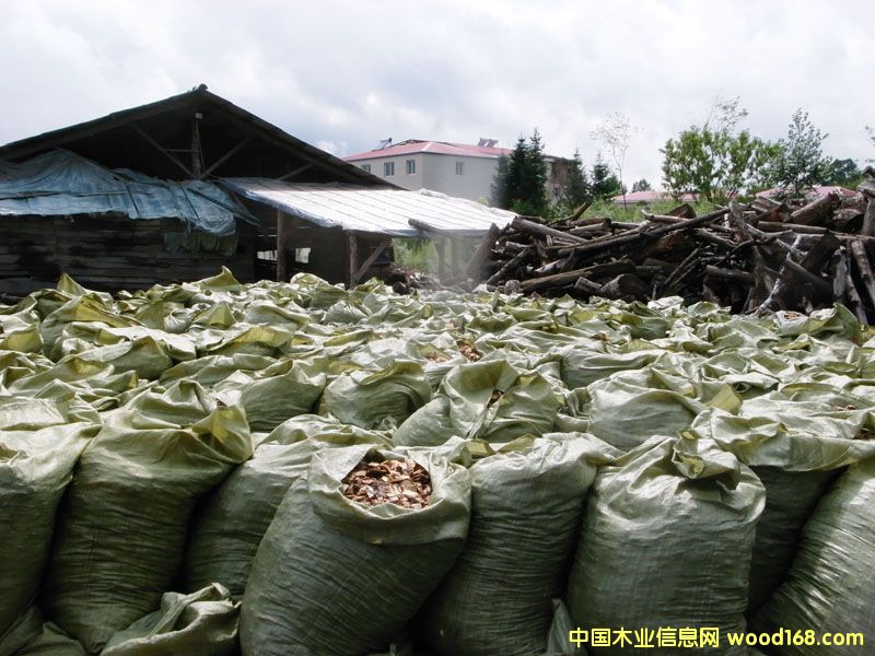 ��Ƭ��Ԕ��(x��)��B