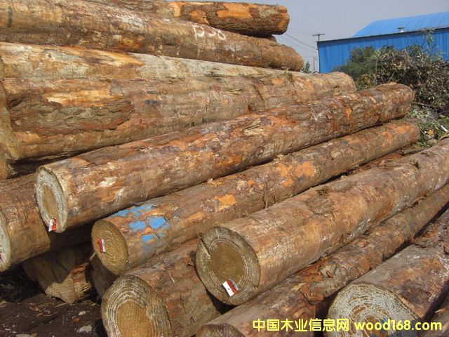 ݗ����ԭľ��Ԕ����B