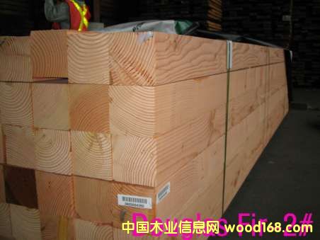 �c(di��n)���鿴Douglas Fir�Ŵ�DƬ