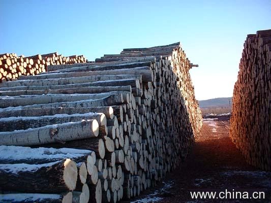 ��ľԭľ����ĵ�Ԕ��(x��)��B